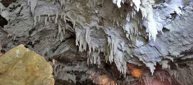 Salt not Just For Food